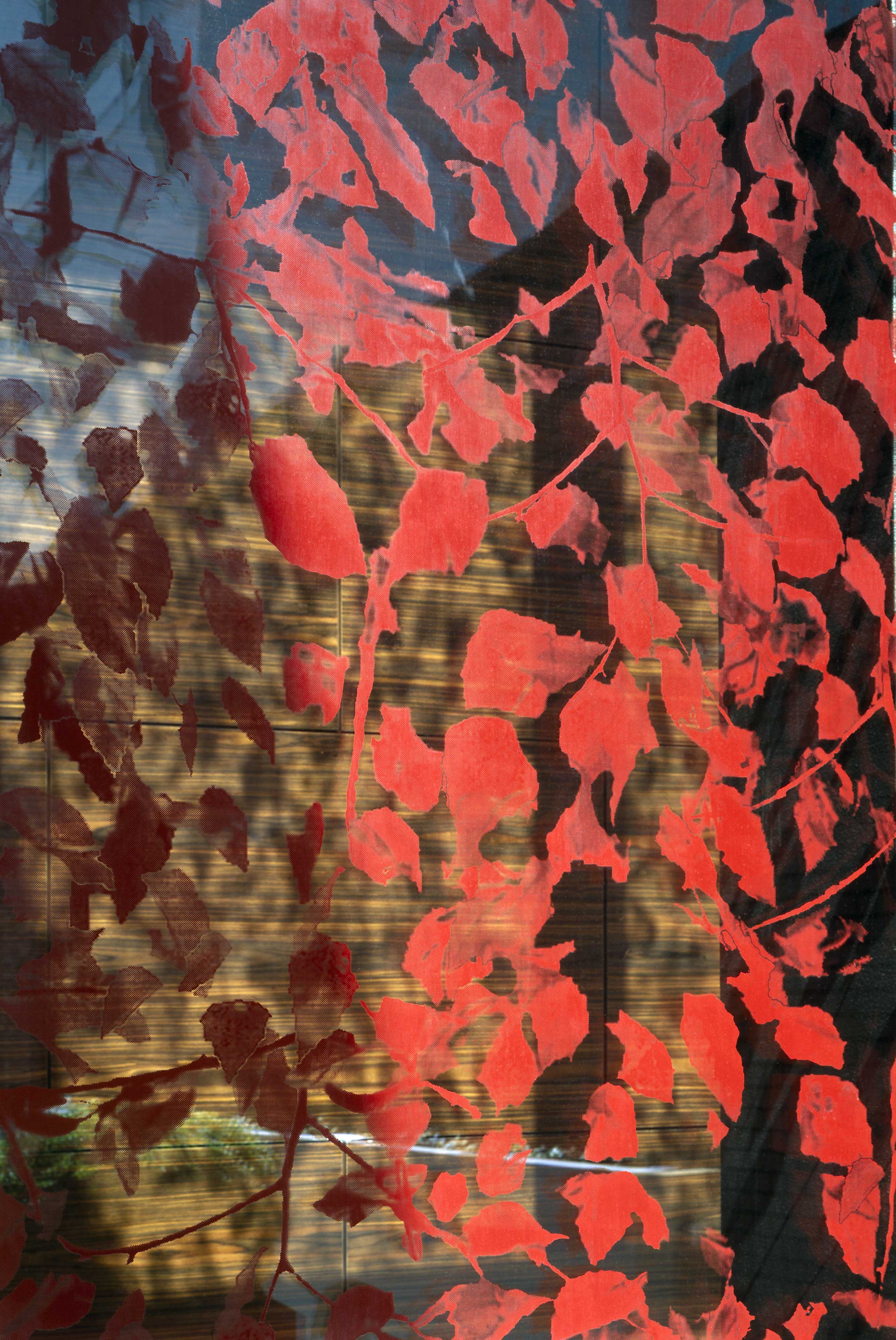 This is caption 1 <a href='#link'>Even with links!</a>