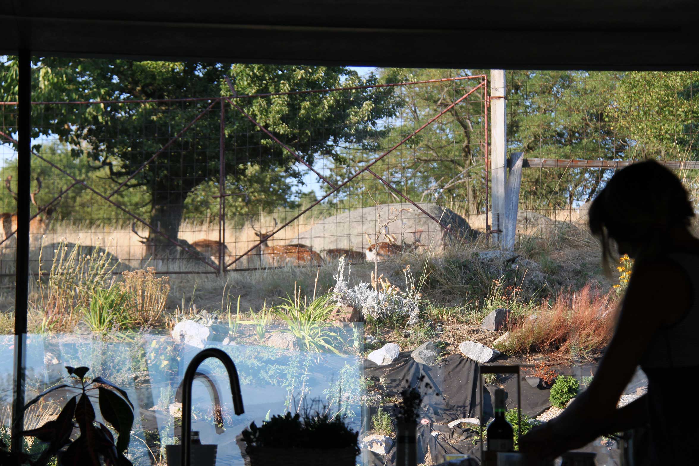 This is caption 1 <a href='#link'>Even with links!</a>